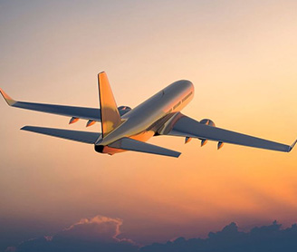 Government Approved Visa Valuation